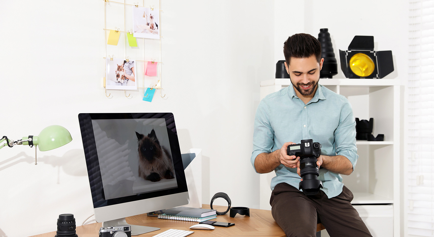 The Future Of Search Engine Optimization In Business